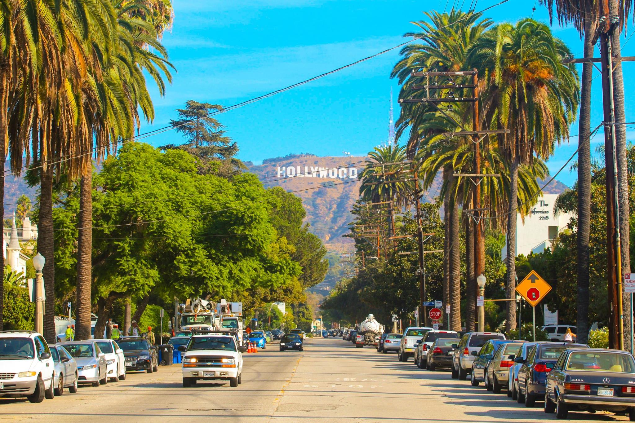Palm-lined Los Angeles street with cars and the Hollywood sign in the hills