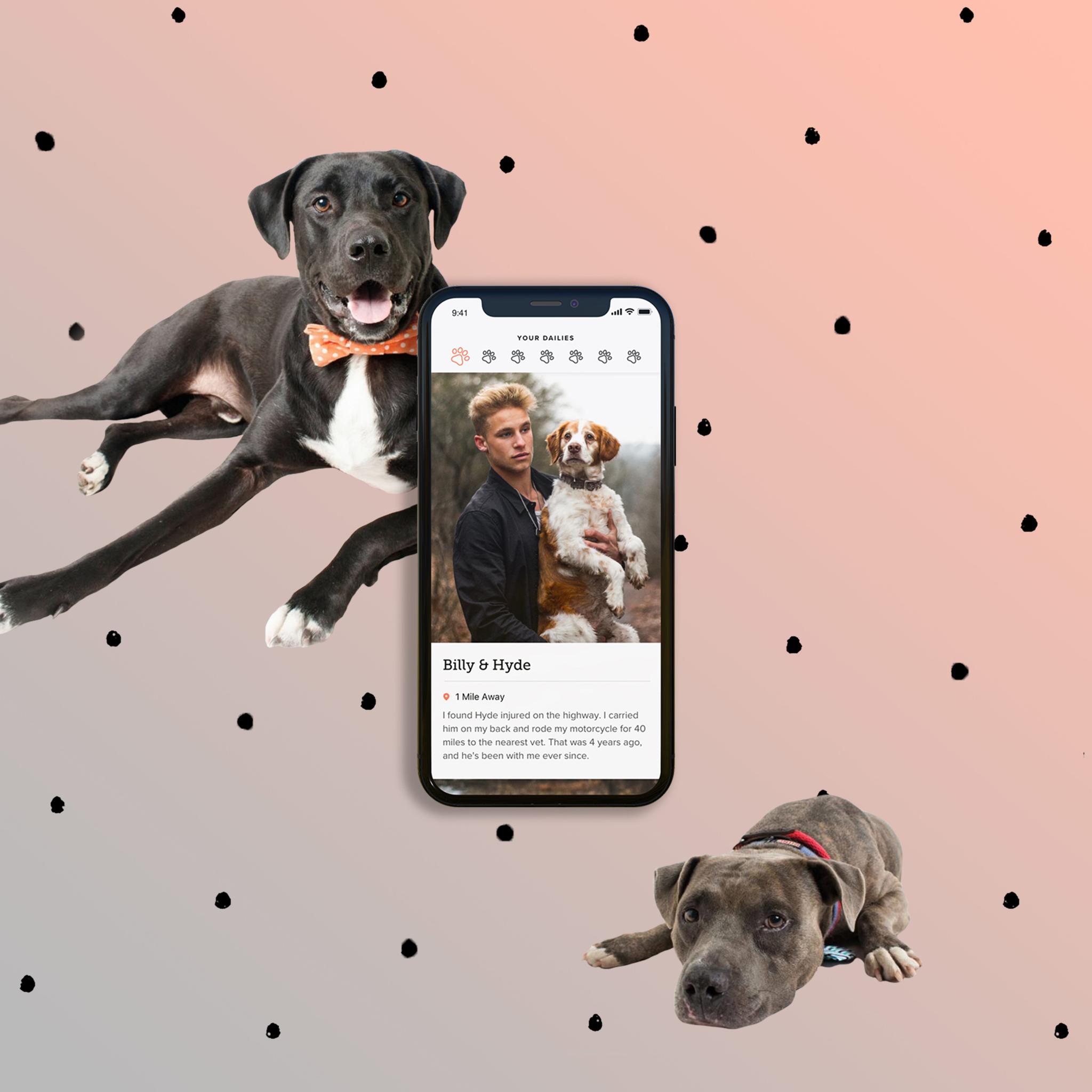 Dog adoption app screen with two dogs on a pink dotted background