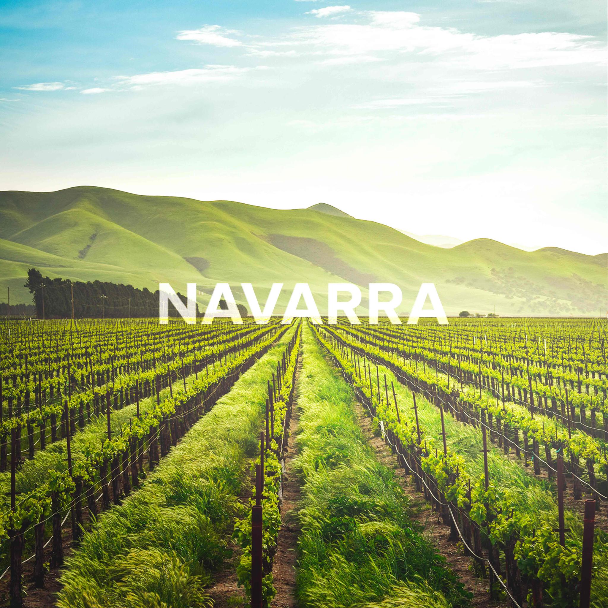 Vineyard rows leading to green hills with "NAVARRA" text overlay
