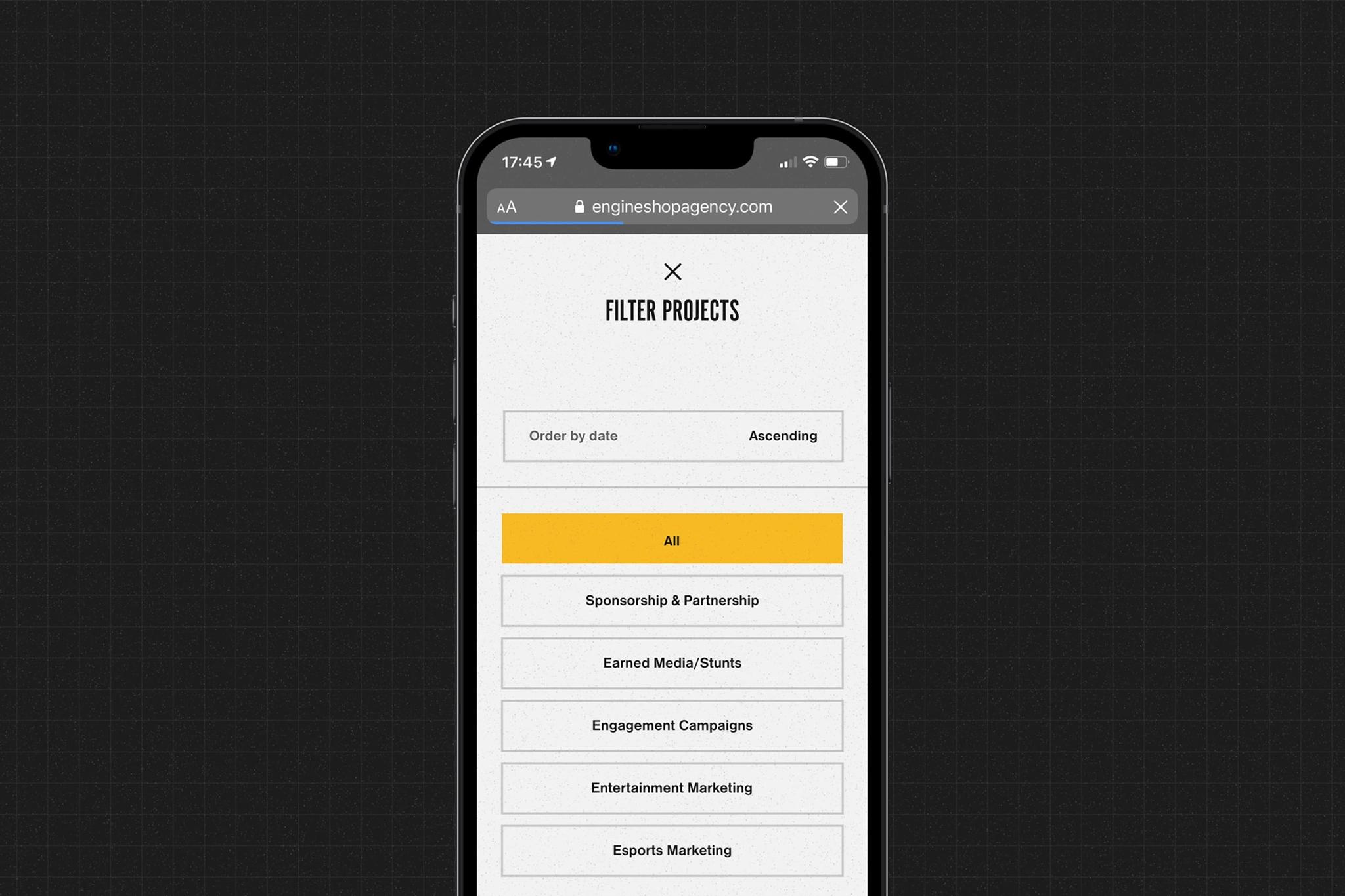 Phone screen showing a project filter menu with category buttons