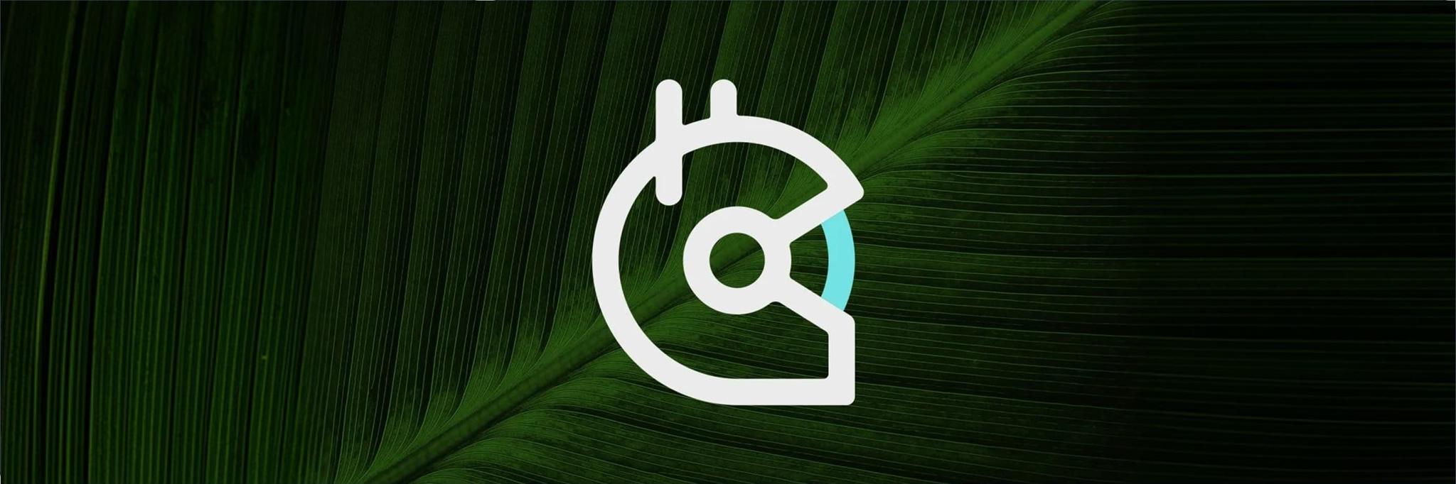 Wide banner with Gitcoin icon over a dark green leaf texture