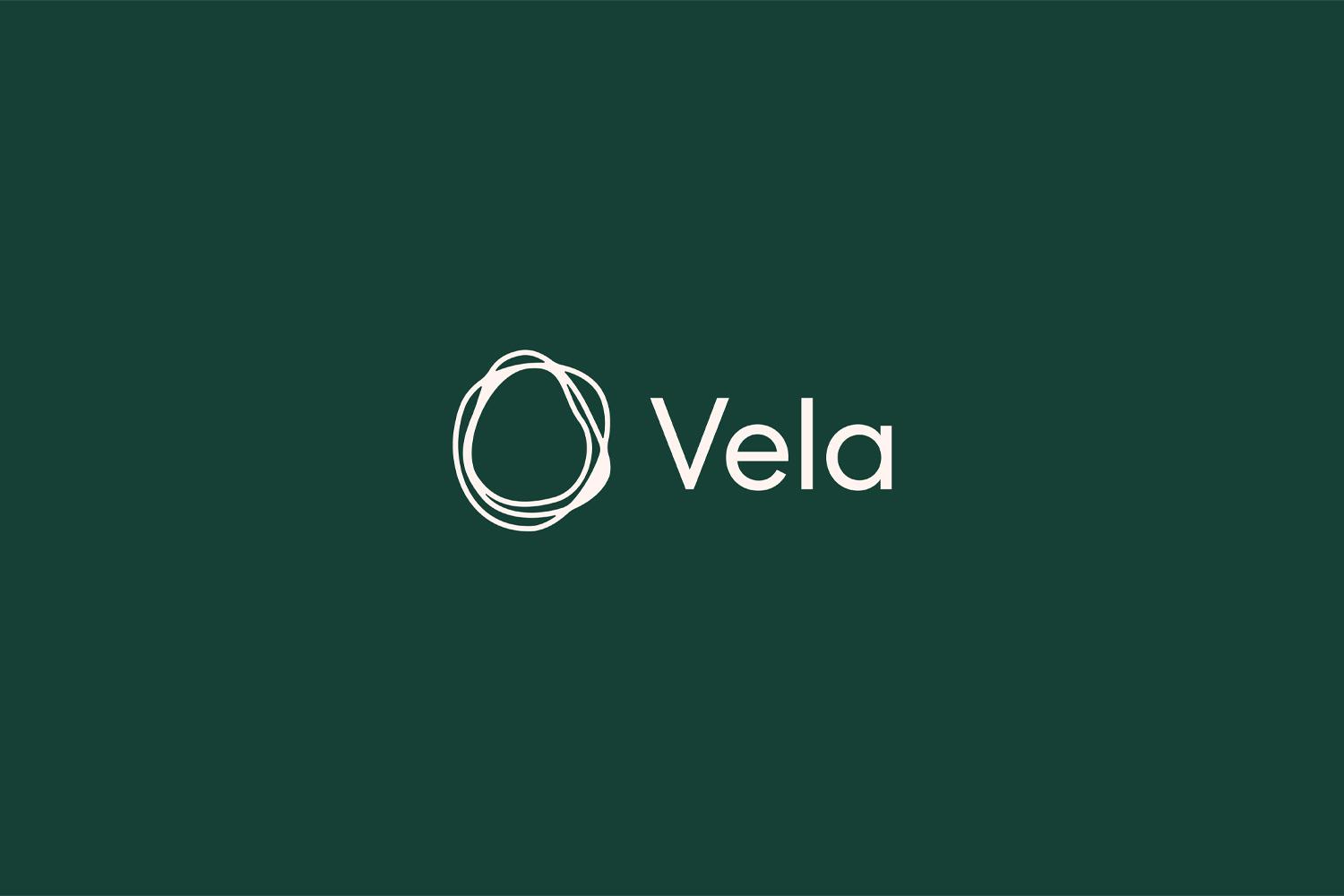 Small Vela wordmark and circular line logo centered on dark green