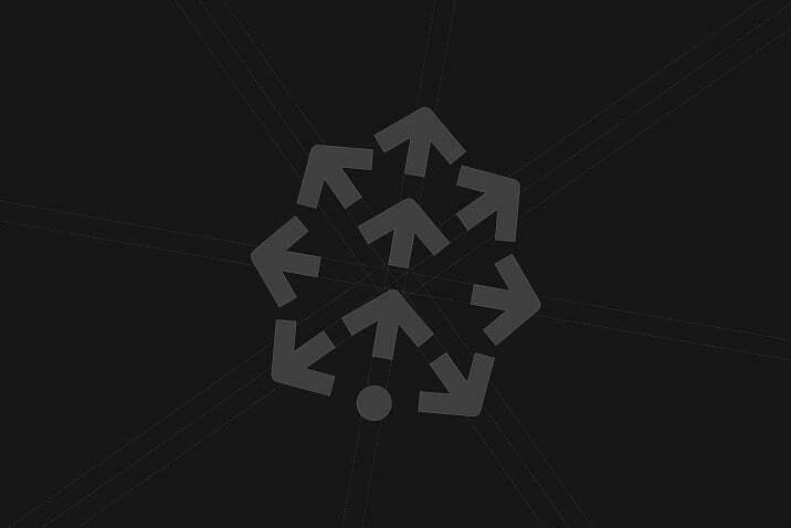 Pinecone icon mark on a dark textured background