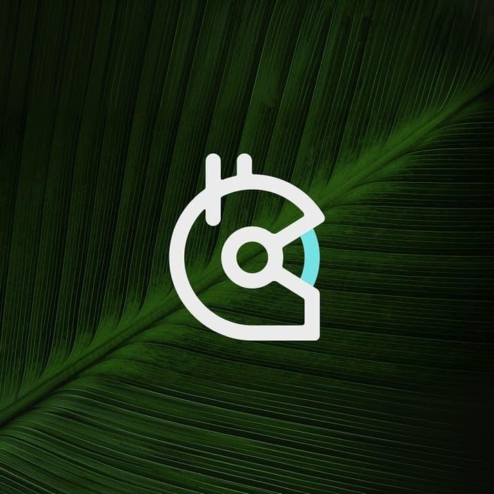 White Gitcoin icon over a dark green leaf texture