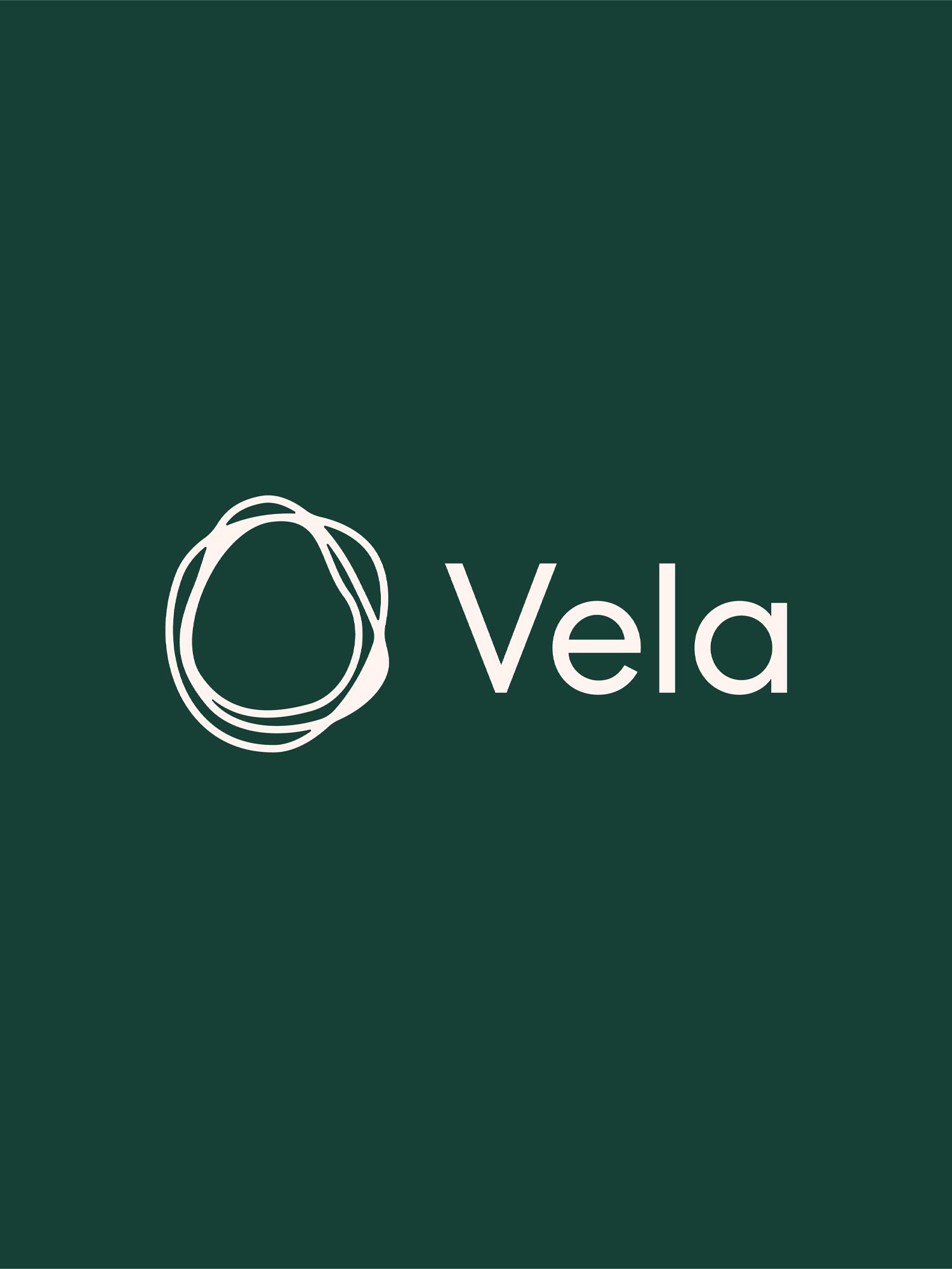 Vela wordmark and circular line logo on a dark green background