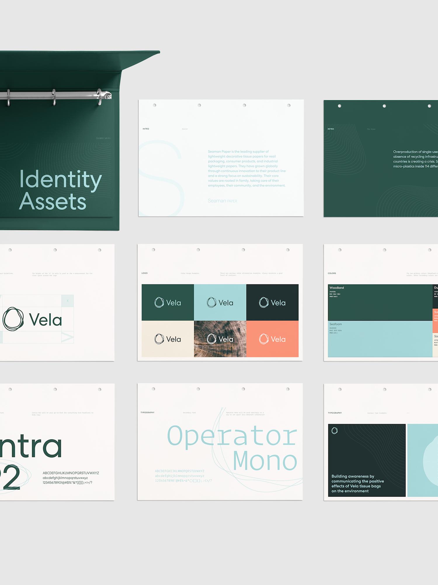 Brand identity assets laid out on a gray background with binder and design boards