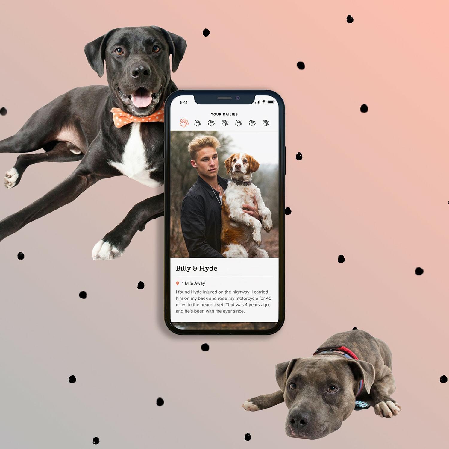 Dog adoption app mockup surrounded by dog cutouts on a pink dotted background